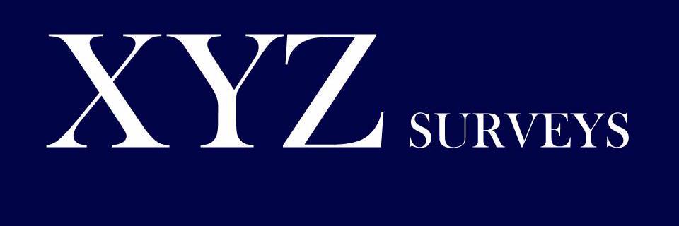 XYZSurveyGroup's profile banner image