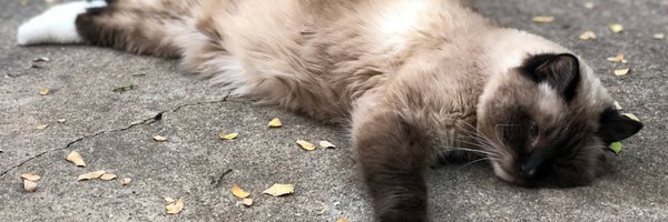 ChetGresham Profile Banner