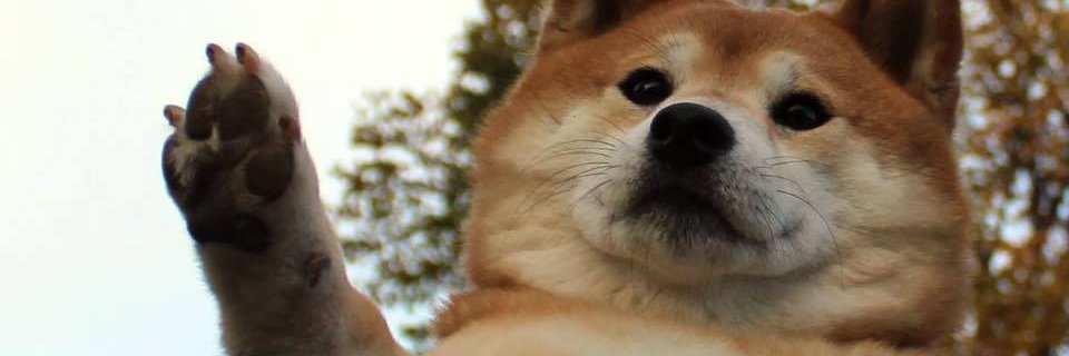 ShuffleGoat's profile banner image