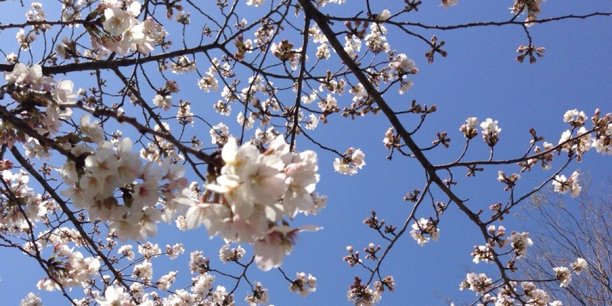 yuji335's profile banner image