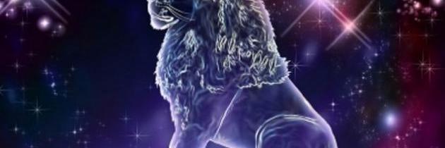 oooo111o's profile banner image