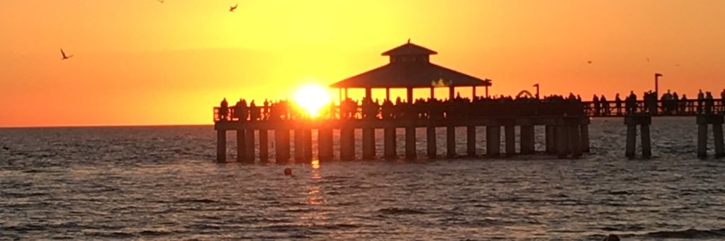 linswfl's profile banner image