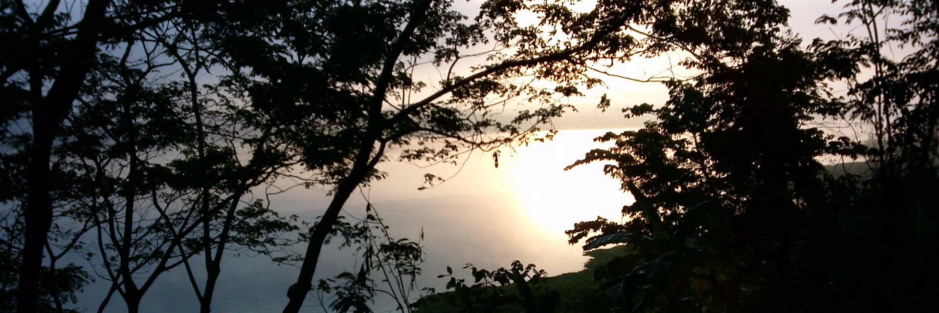 diwangolo's profile banner image