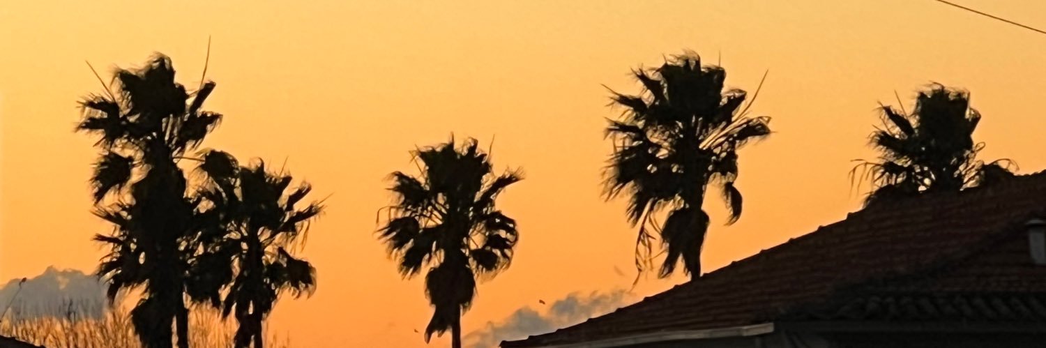 ritspln99's profile banner image