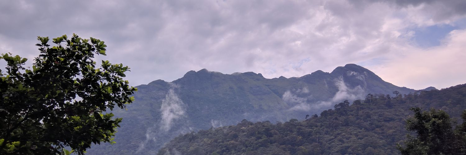 anuply_'s profile banner image