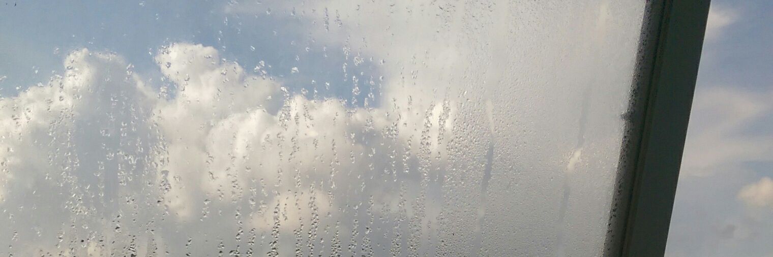 ofmiind's profile banner image
