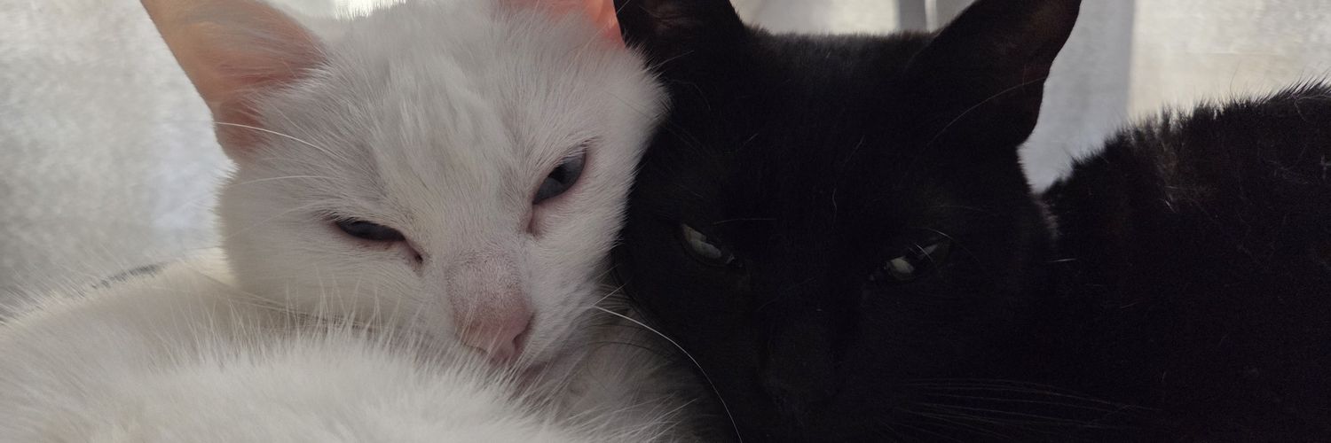 thomgb_'s profile banner image