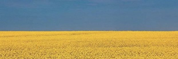 haybean22's profile banner image