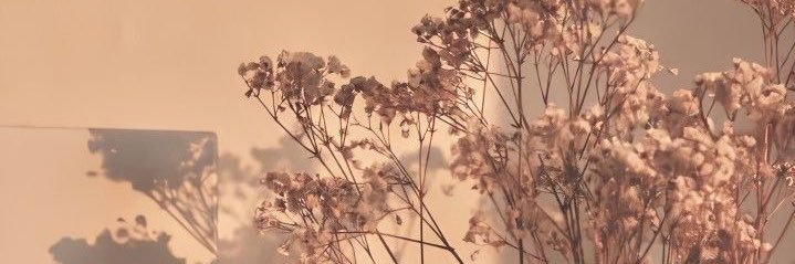 y_march14's profile banner image