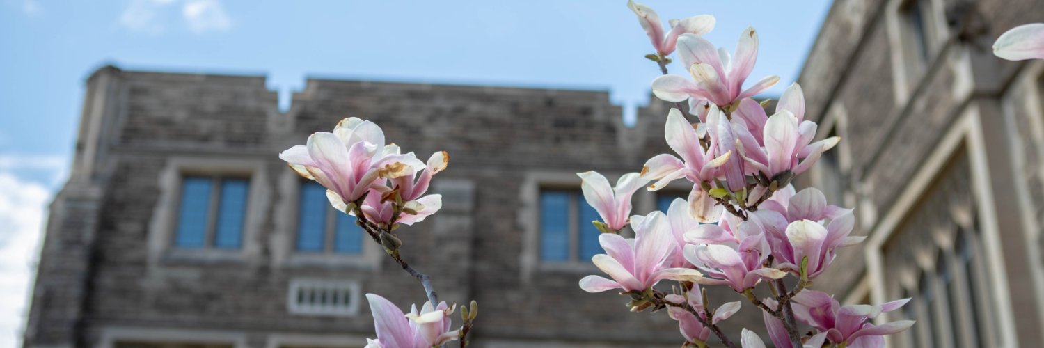 McMaster University banner