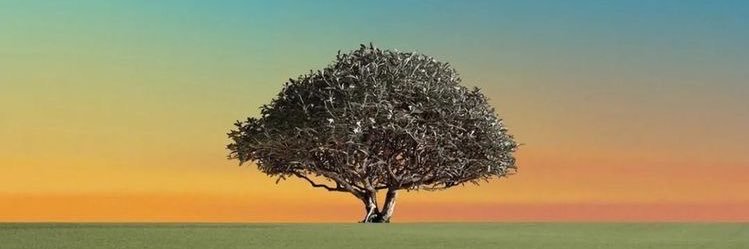 oesJ9x's profile banner image