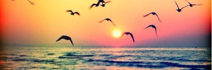 _cparker_'s profile banner image