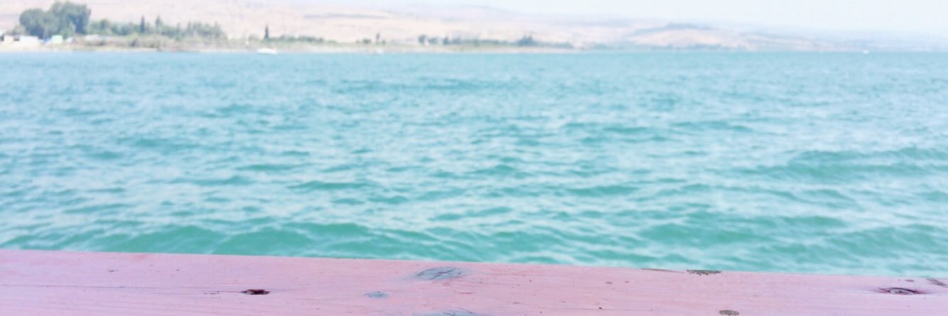 なつこ banner
