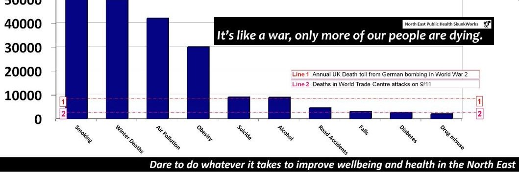 North East Public Health SkunkWorks banner