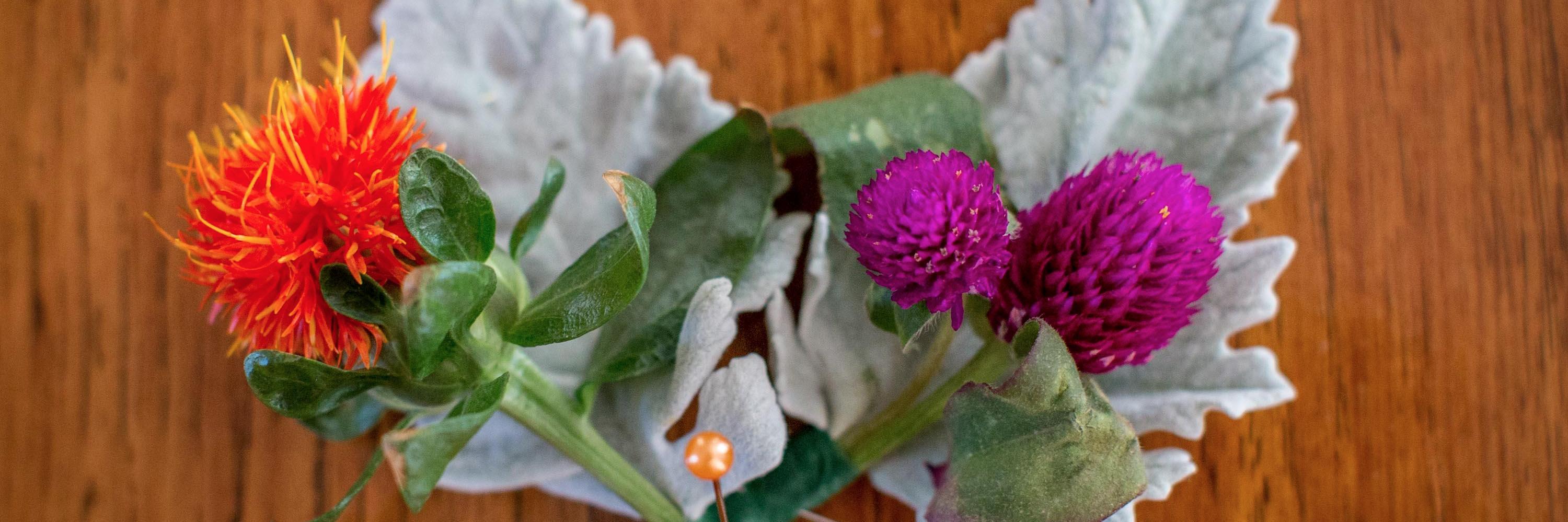 Michael Torres banner