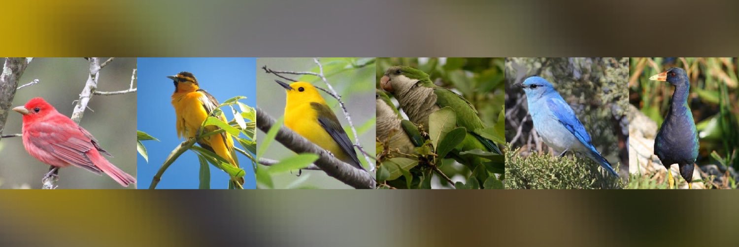 mleongkee's profile banner image