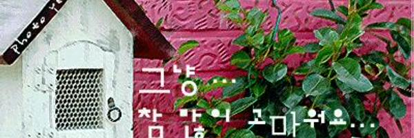 strot1616 Profile Banner