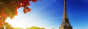 viviafifah3's profile banner image