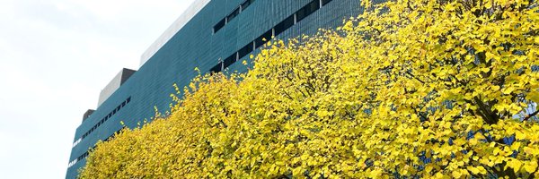 mpicbg Profile Banner
