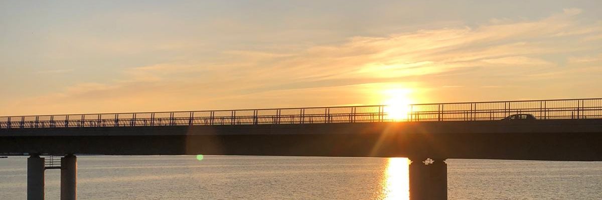 MissHorms's profile banner image