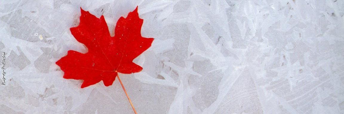 DarrenLibman's profile banner image