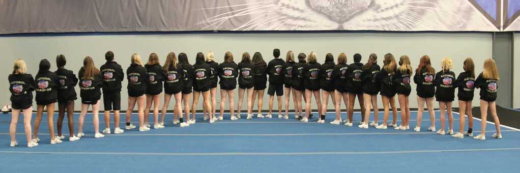 CA Sabres banner