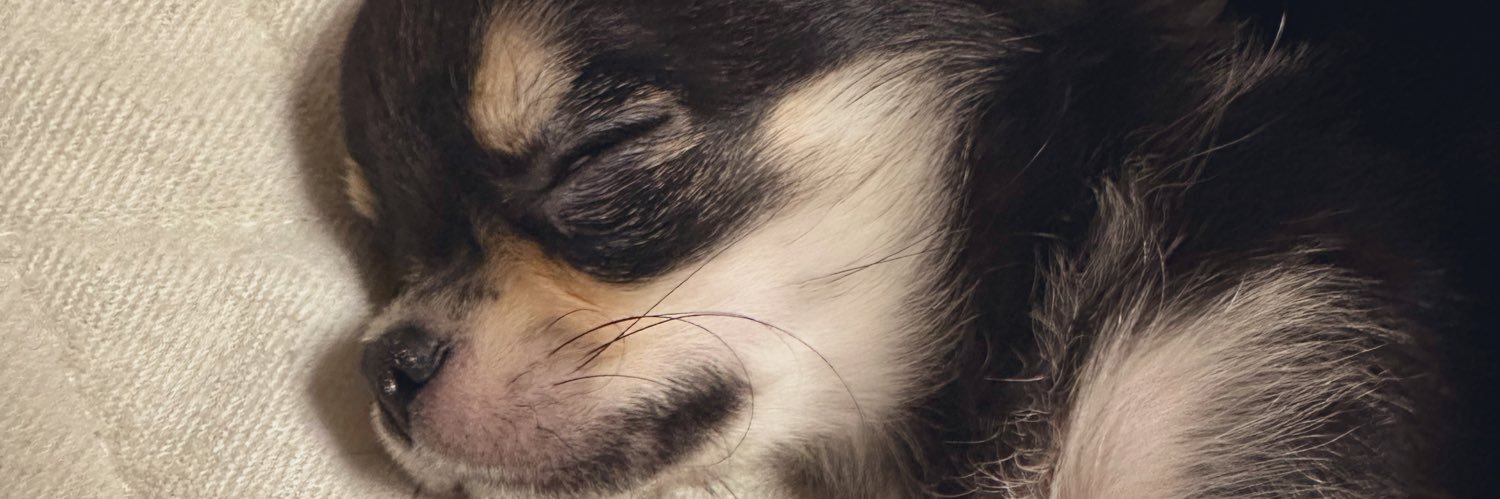 kaz_cr's profile banner image