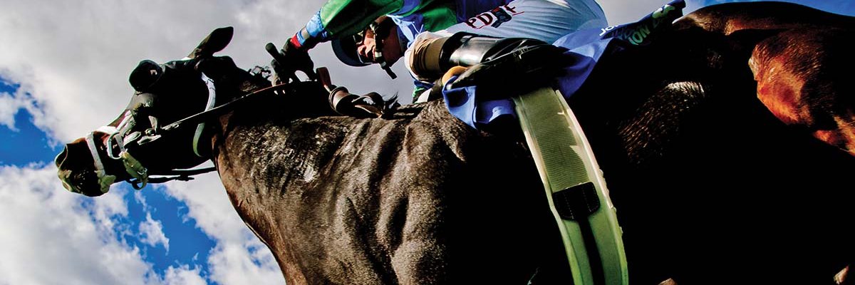 Mid-Atlantic Thoroughbred banner