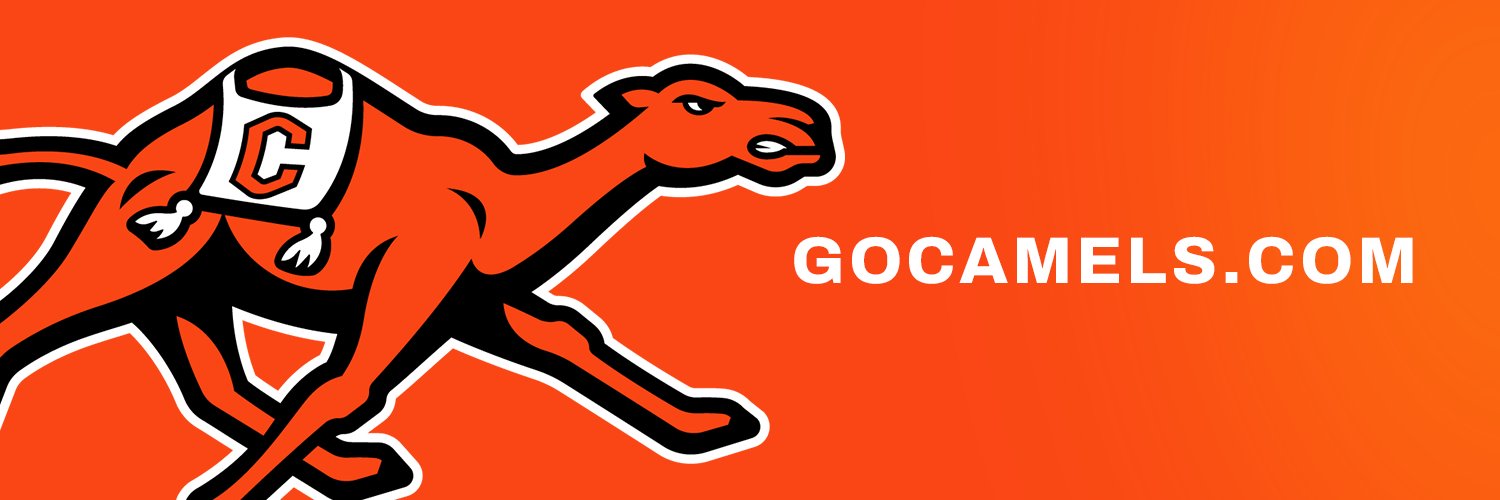 Campbell Athletics's banner