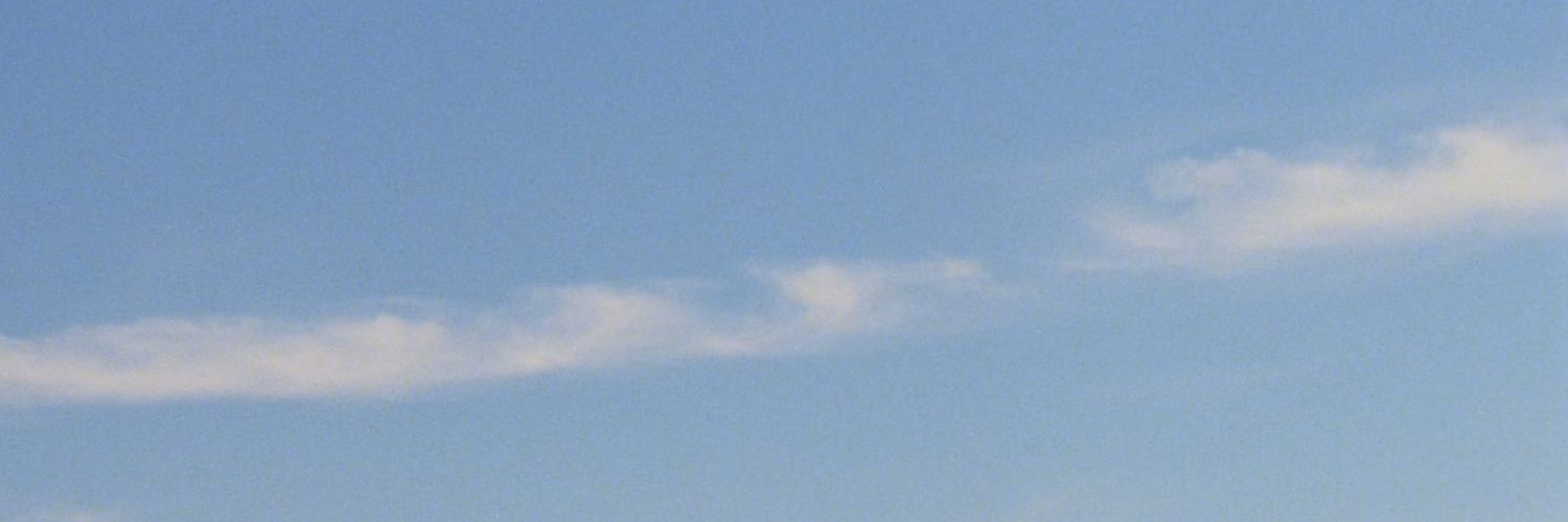 dianaallvarez's profile banner image