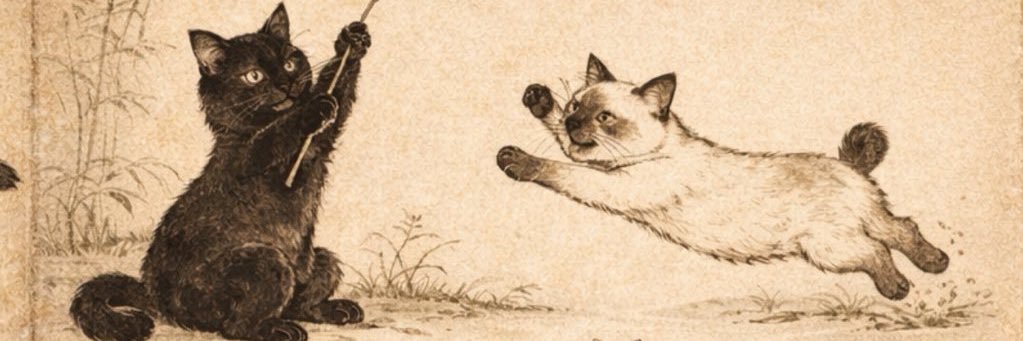 1Okoyr's profile banner image