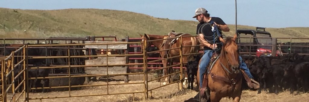 CalebBusenitz's profile banner image