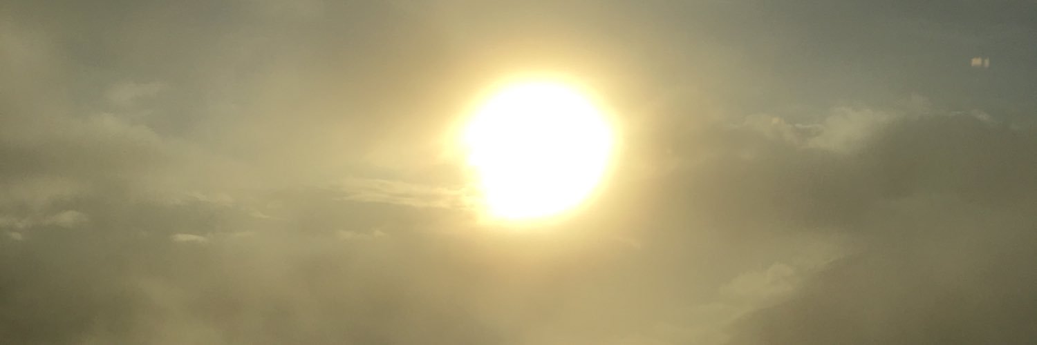 Niels Vlaar banner