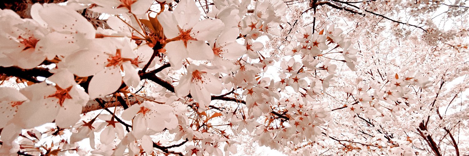 _barblife's profile banner image