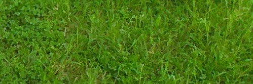 caraballo314's profile banner image