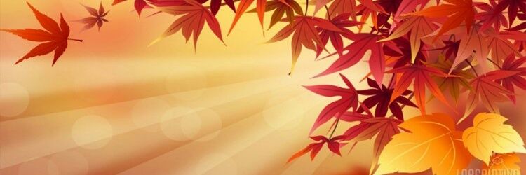 Riicardo_Loopes's profile banner image