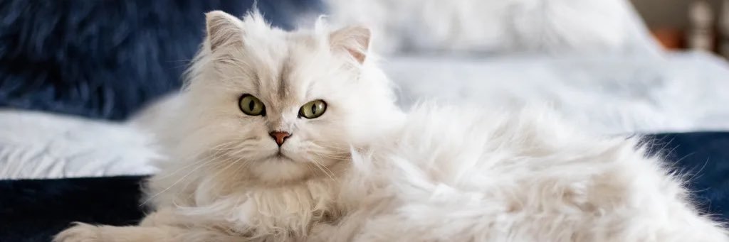 kev.i.n.™️ banner