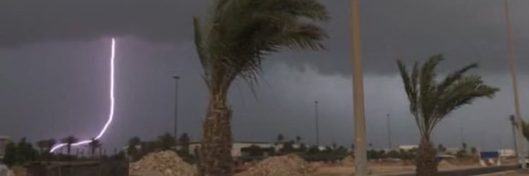 فويز حمود banner