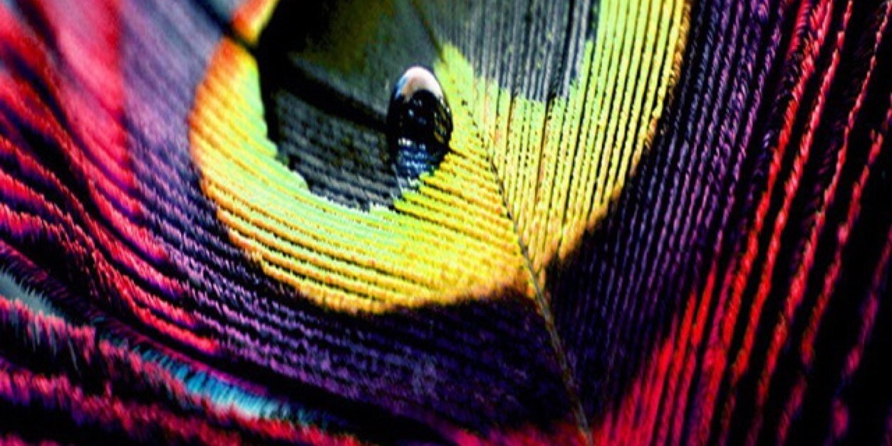 Ambizie2012's profile banner image