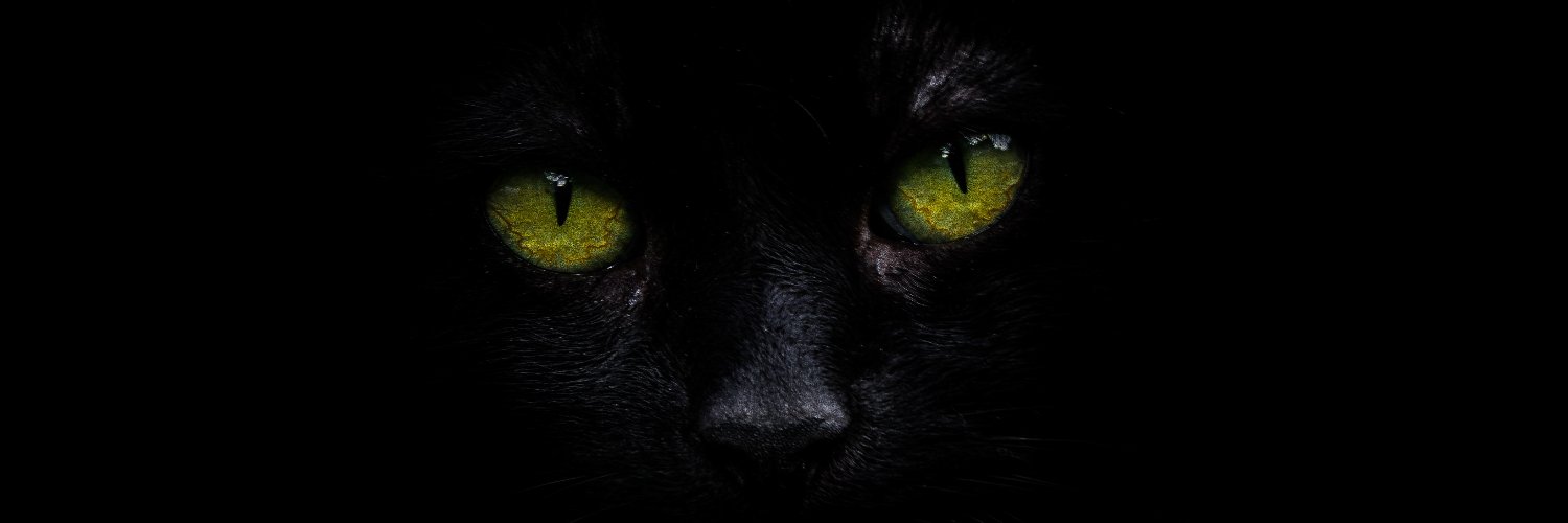 TekforSteve's profile banner image