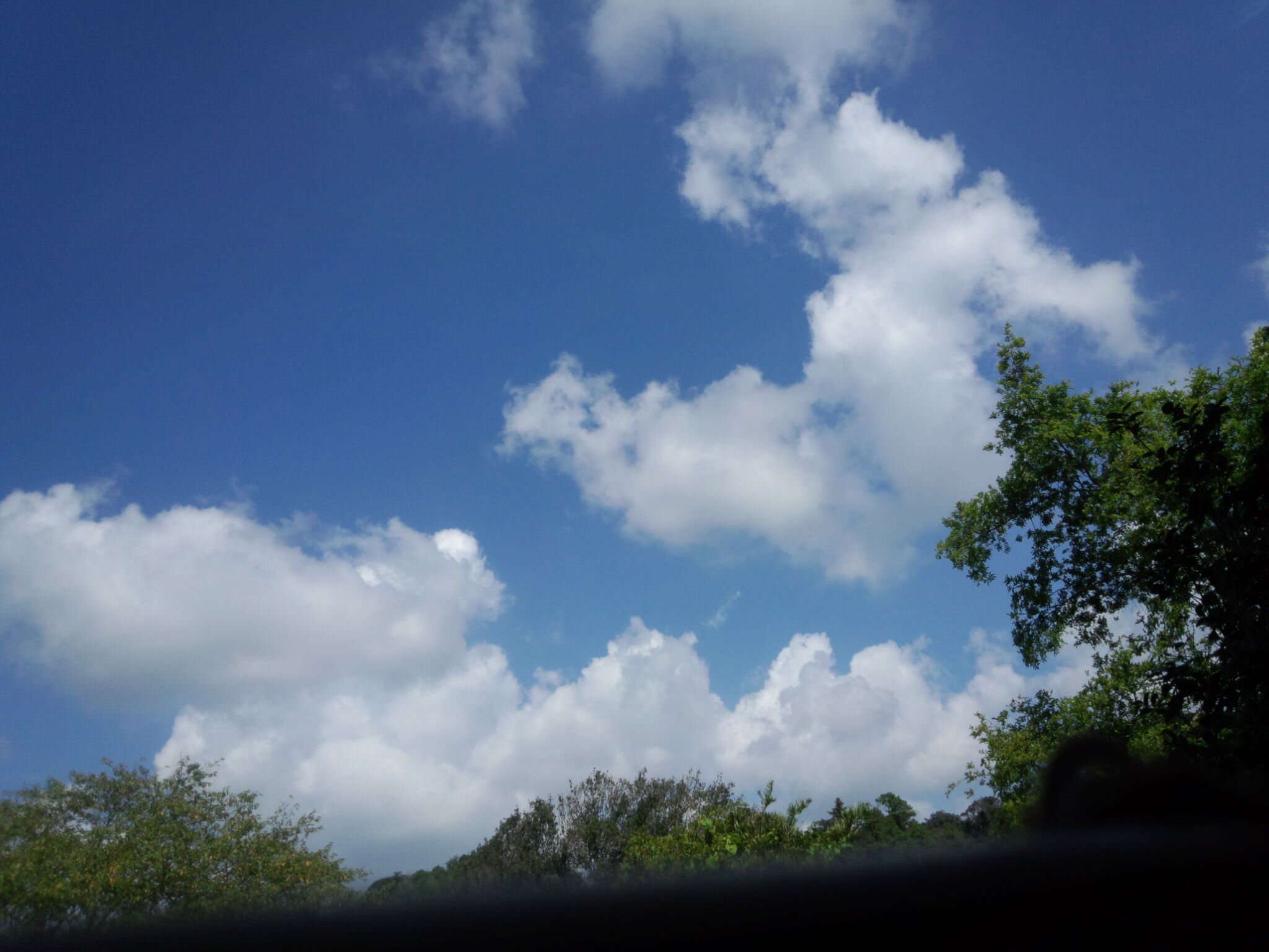braddy_brad's profile banner image