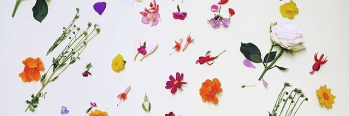_michellesherly's profile banner image