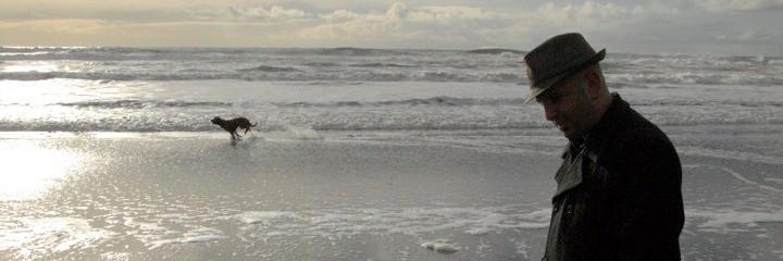 Stephen H Fishman banner