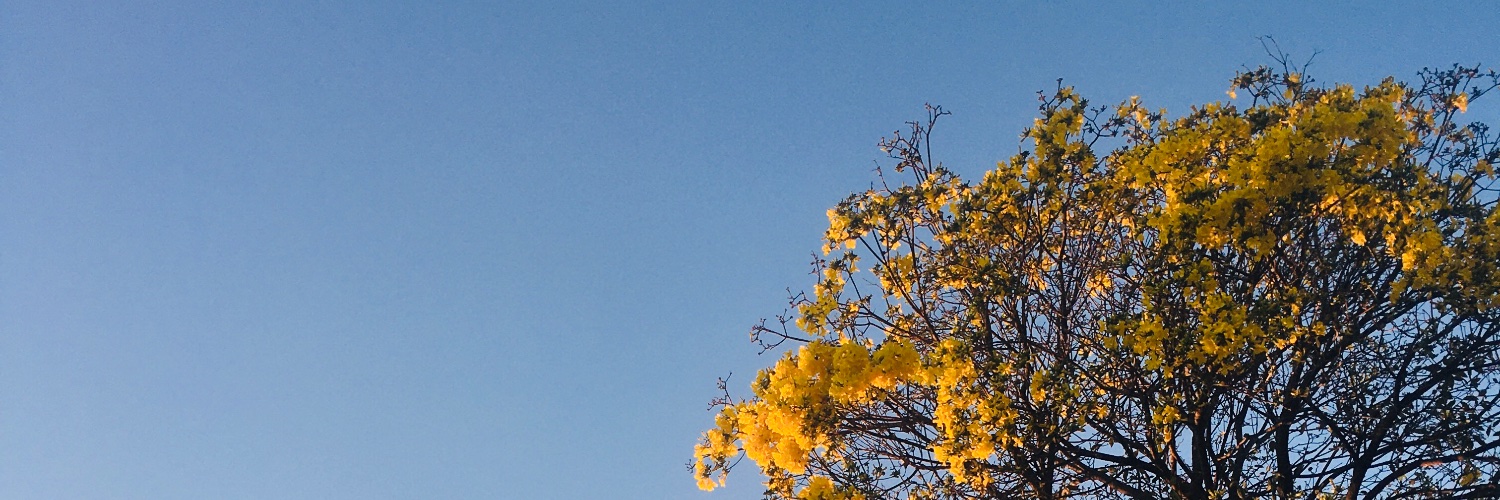 mmsmahe's profile banner image