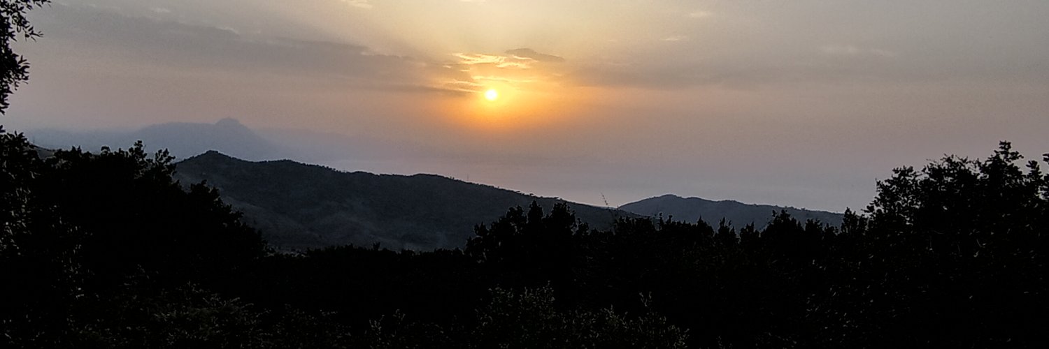 Massimo Natale banner