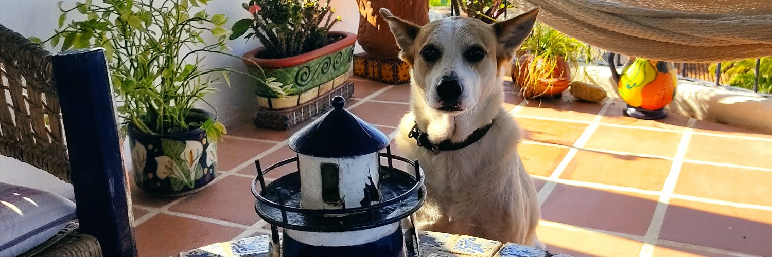 GinaMachorro's profile banner image