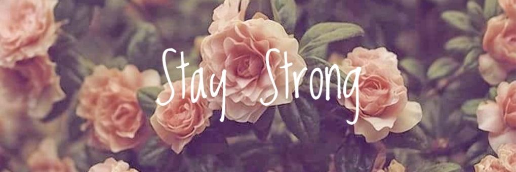 MarisolPardo1's profile banner image