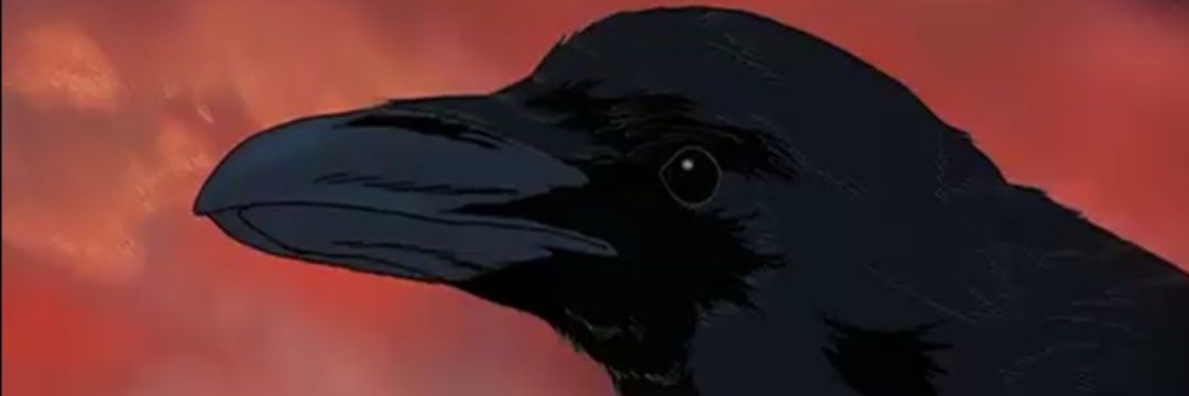 PandaTuruncu's profile banner image