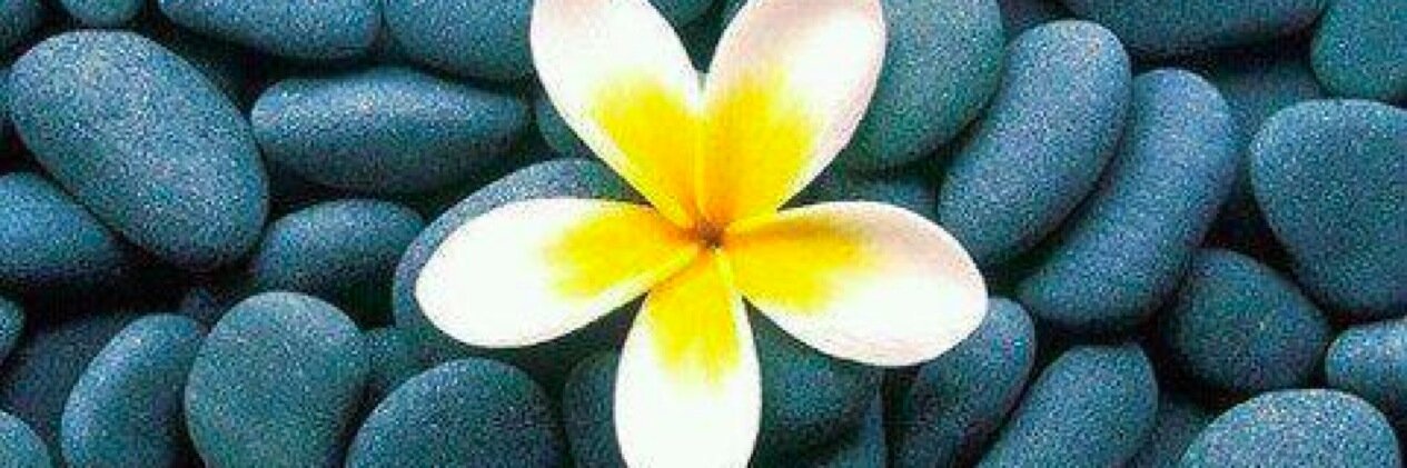 Dandan2424's profile banner image