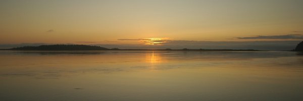 IAMJEWELZ Profile Banner